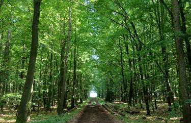 Ferienwohnung am Sendberg - Foto 37