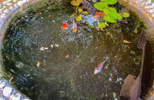 Quinta dos Pinheiros - Foto 27