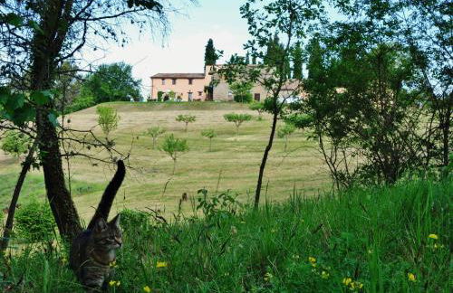 Agriturismo Monterosello - Photo 43
