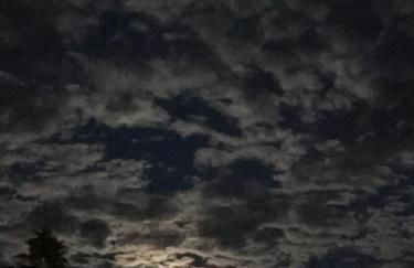 Ferienwohnungen Reiss - Foto 13