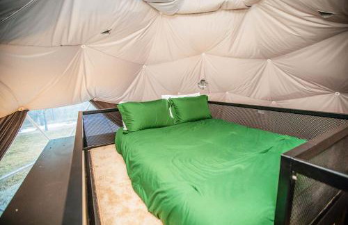 Zen Zion Evergreen Dome - Photo 20