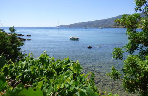 Villa Mimosa Poros Beachfront Apartment - Foto 6