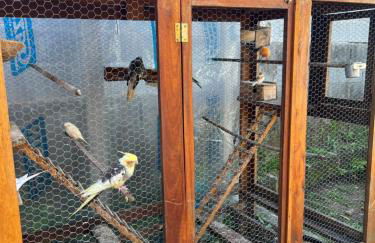 Chácara Recanto do Guerreiro em Aruja - Foto 32