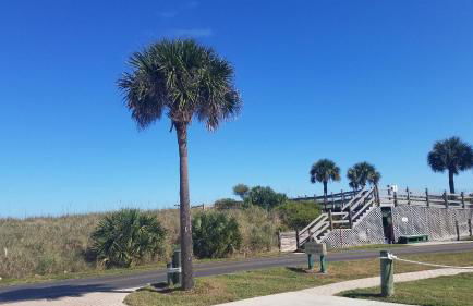 Ocean Village - Foto 39