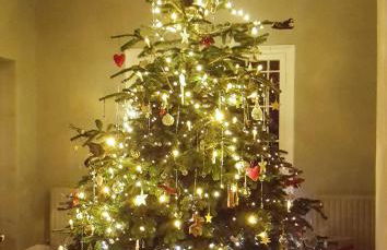 Colleton Hall and East Wing - Foto 70