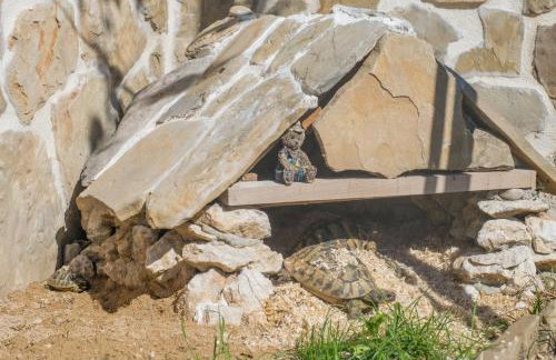 Villa Milena with heated pool and jacuzzi - Photo 59