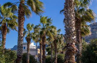 Ciuri Ciuri - Foto 50