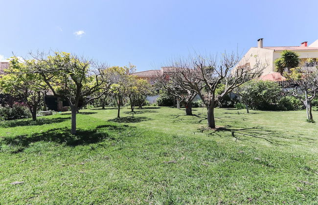 Guincho Typical House II by Homing - Photo 39