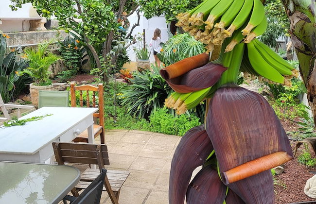 Gato Azul Coliving - Foto 61