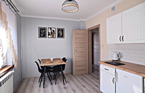 Apartament z tarasem i pokoje KLIMATYZOWANE -Drozdówka Solina - Foto 40