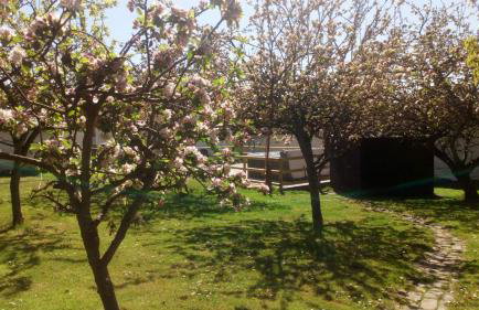 SAUNTON SANFIELD GRANGE 10 Bedrooms - Foto 17