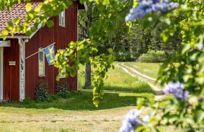 Vassviken - Photo 21