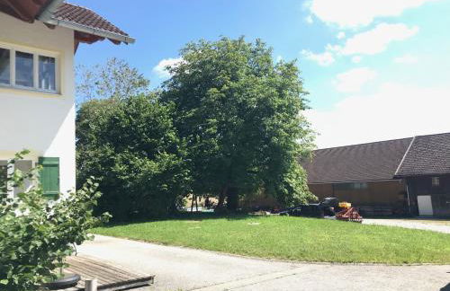 Ferienwohnung mit Alpenblick - Foto 23