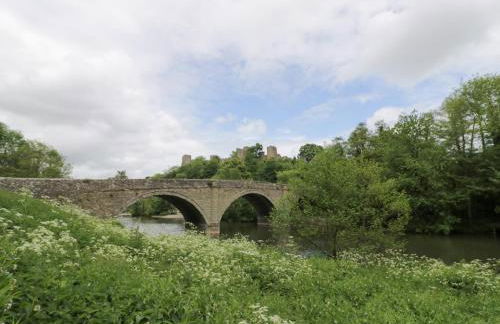 The Stable - Foto 31