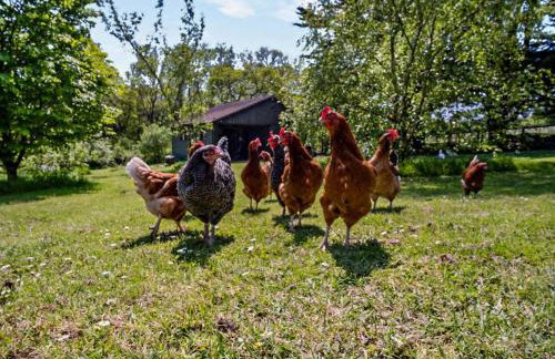 1 Bed in Cowes oc-ic084 - Foto 11