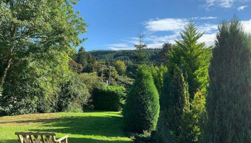 Countryside Log Cabin With Hot Tub - Beech - Foto 4, Garden, Garden view
