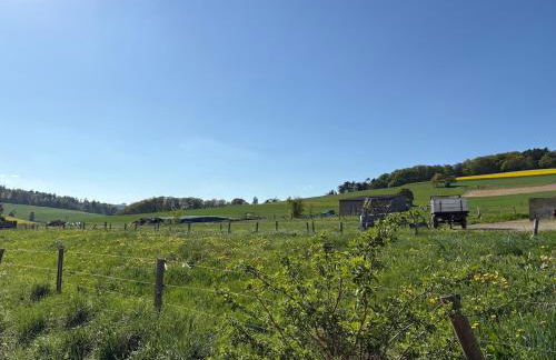 Appartement Pfingstrose - Foto 35