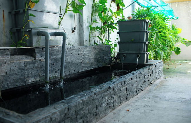 Amazing 3 br Best House Homestay - PT - Foto 48