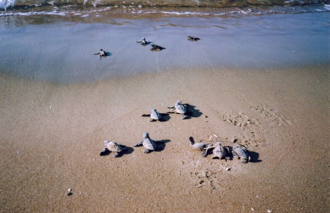 Antonios Village - Foto 67