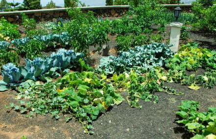 Villas Las Cercas - Photo 42