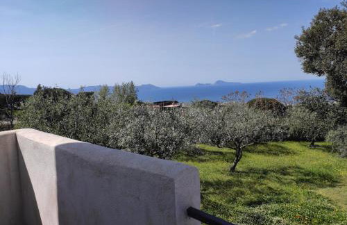 Dimora degli Ulivi B - Vesuvio - Foto 6