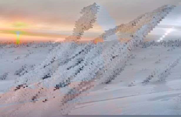 Trilha pelo Parque Nacional de Riisitunturi - Foto 7