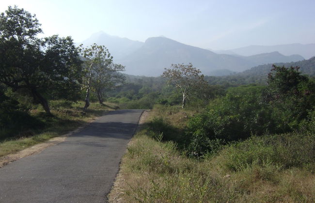 Room in Lodge - Royal Cottage, Anaimalai - Foto 15