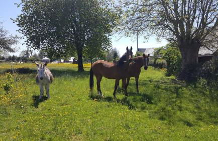 Gîte de l'Epinay Cerise - Foto 35