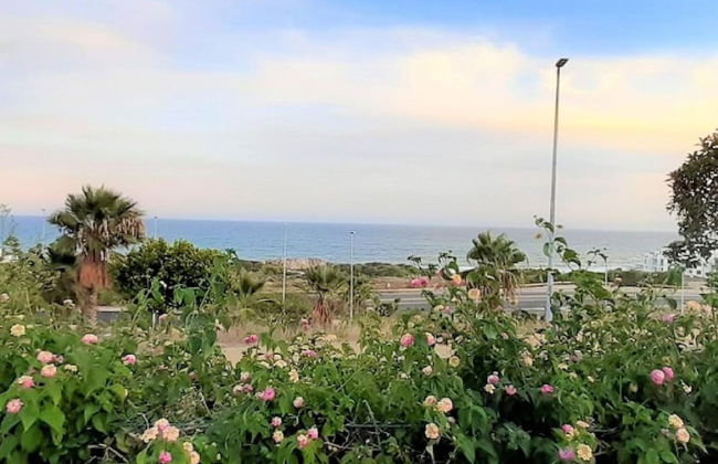 Sunny Garden Apartment - Foto 28