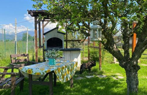 Orto del pettirosso - Foto 24