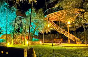 Zante Lagos holiday homes Treehouse and Villa - Foto 2