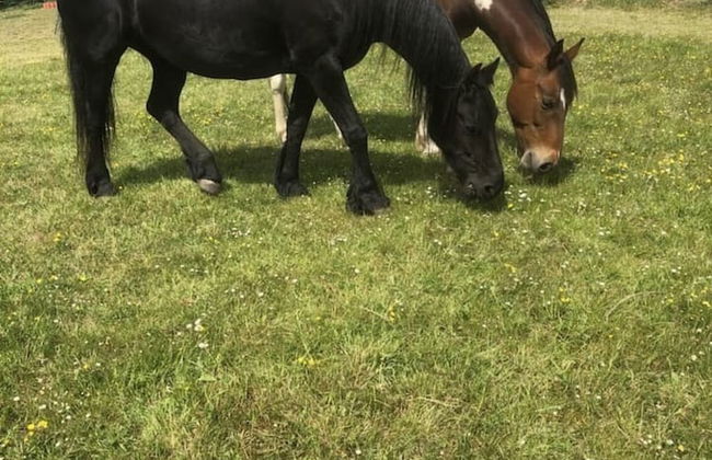 Beautiful 3 Bedroomed Cotswolds Farmhouse - Photo 27