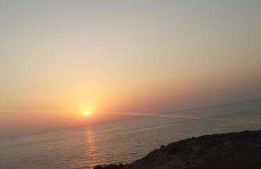 Studio Kalogridis - Foto 15