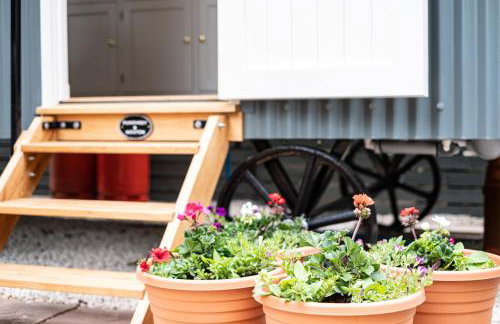 Trevone Luxury Shepherds hut close to the beach - Foto 19