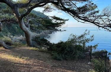 Appartement 3 chambres, piscine, 50 m des plages - Foto 41