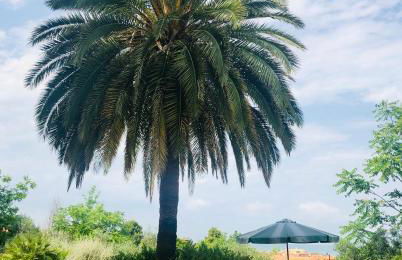 Villachiara - Foto 5