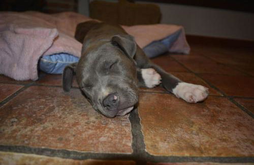 Casa La Peguera - Photo 9