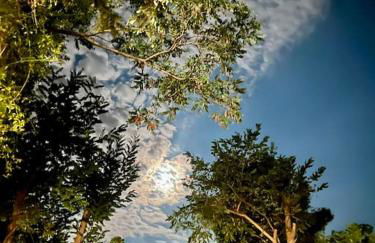 Dreamy relaxing secluded Villa Aurora - Foto 39