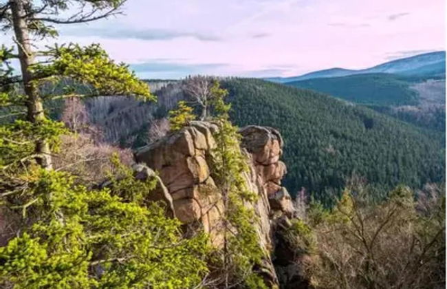 Apartment in Harz Near Brocken Railway - Foto 34