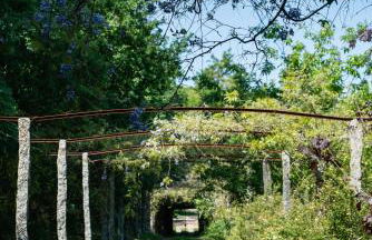 Wine Tourism - Quinta do Ameal - Foto 28