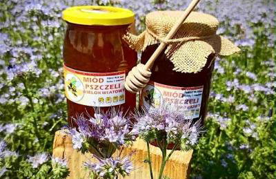 Zakątek u Poety Dąbrówka - Foto 76