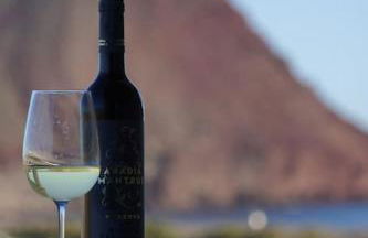 Sea view La Tejita - Foto 23