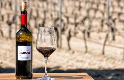 FINCA ENTREVIÑEDOS de Bodegas Marcos - Foto 28