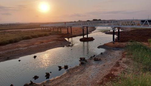 Amazing Apartment with swiming pool - Photo 3