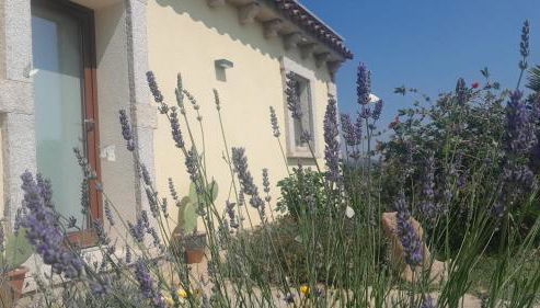 Dependance Pavoncella - Foto 2