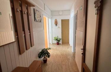 Apartments Ivi - Photo 57