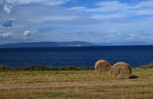 Apartment Ivy - Foto 20