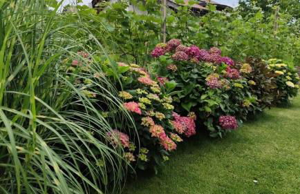 Janas Bolzano Mountain Apartment - Foto 6