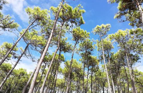 Maison Bord de mer à Noirmoutier - Photo 27