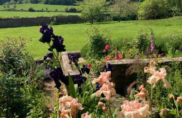 The Walled Garden by Huluki - Foto 43